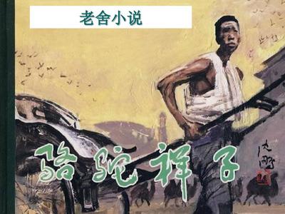 深入了解 菠萝导航
